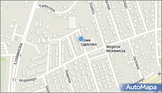 5832572502, Anespol sp. z o.o. 