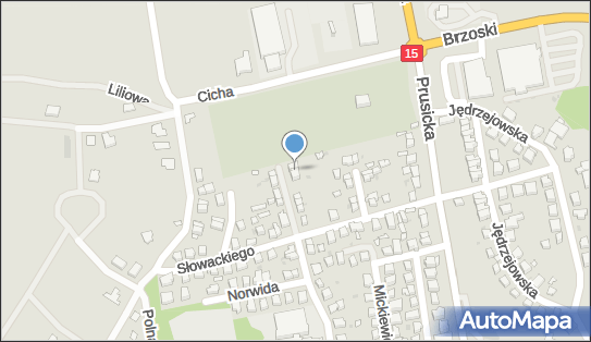 021433688, Aneta Gawor Przedsiębiorstwo Handlowo-Usługowe - 