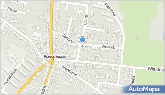 6191285180, Sklep Spożywczo-Przemysłowy Pestka Aneta Jańczak 