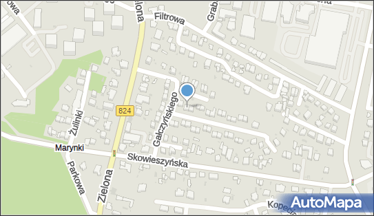 Aneta Pytrus - Działalność Gospodarcza, Puławy 24-100 - Przedsiębiorstwo, Firma, NIP: 7161397035