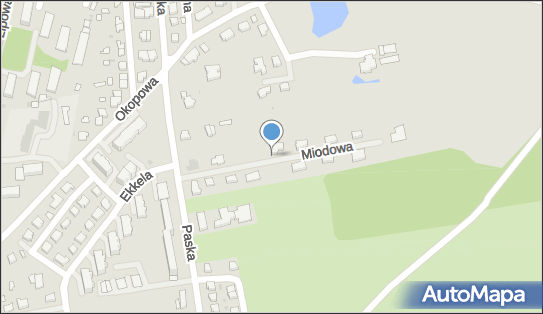 Anettbus Wypożyczalnia Samochodów Aneta Wójcik, ul. Miodowa 7 69-200 - Przedsiębiorstwo, Firma, NIP: 5961522340