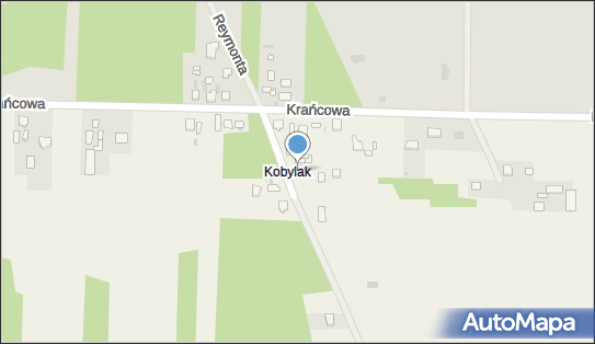 Angelika Sapiaska- Kućmińska, Paulinowo 148, Paulinowo 05-190 - Przedsiębiorstwo, Firma, NIP: 5361744210