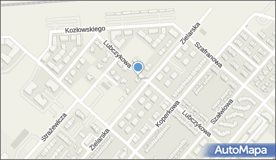 Angelika Subocz, Zielarska 35, Plewiska 62-064 - Przedsiębiorstwo, Firma, NIP: 9721083765