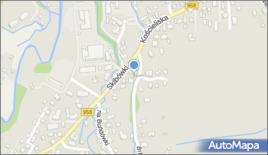 Anima Beata Bryl, ul. Skibówki 1a, Zakopane 34-500 - Przedsiębiorstwo, Firma, NIP: 7361578540