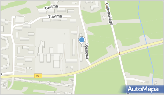 Animisie, Sosnowa 44, Olkusz 32-300 - Przedsiębiorstwo, Firma, NIP: 6372030704