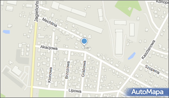 Animusz Firma Handlowa, ul. Grabowa 1, Nowe Miasto Lubawskie 13-300 - Przedsiębiorstwo, Firma, NIP: 8771164028