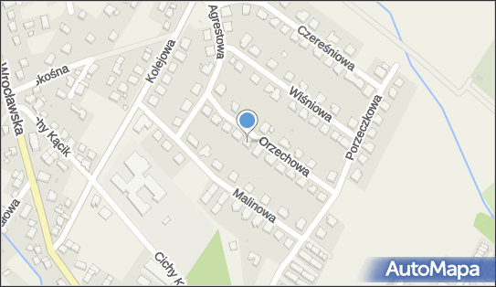 Animus, Orzechowa 15, Kamieniec Wrocławski 55-002 - Przedsiębiorstwo, Firma, numer telefonu, NIP: 8961023319