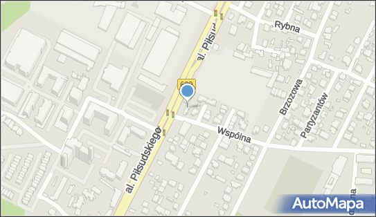 1251305996, Kwiaciarnia Anna Balon 