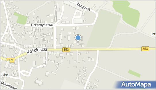 9181565991, Berdzik Anna 