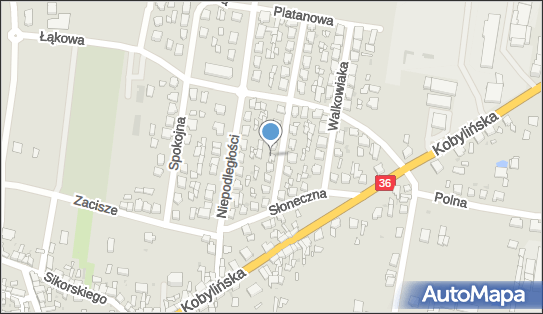 6991131515, Anna Biegała Przedsiębiorstwo Handlowo Usługowe 