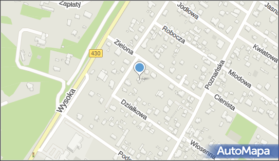 300234970, Anna Bogdanowska Centrum Opieki Domowej 
