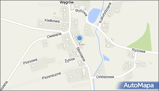 9111645489, Anna Budzowska Przedsiębiorstwo Handlowo- Usługowe 