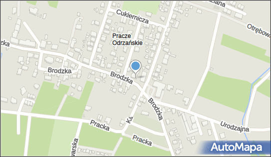 8941869384, Praczańska Usługodajnia Anna Domaradzka 