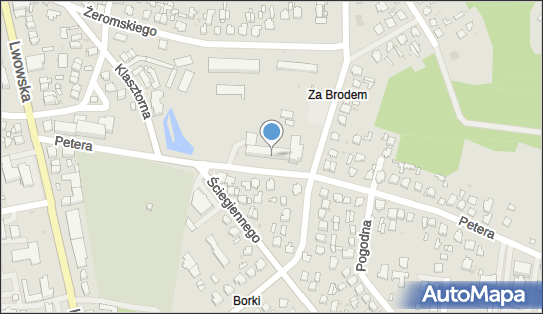 950196542, Dubanik Anna 