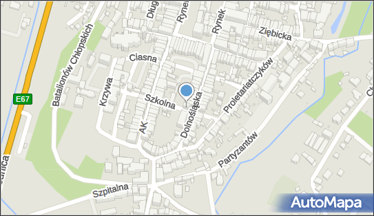Anna Gąsienica Sieczka, ul. Szkolna 2, Ząbkowice Śląskie 57-200 - Przedsiębiorstwo, Firma, NIP: 8871626913