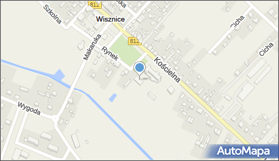 Anna Romanowicz - Działalność Gospodarcza, ul. Rynek N/N 21-225 - Przedsiębiorstwo, Firma, NIP: 5391154803