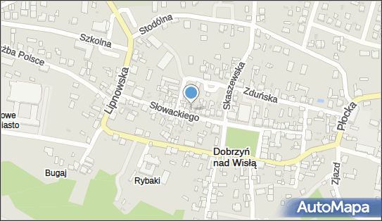Anna Winnicka Przedsiębiorstwo Handlowo-Usługowe Atw Trans 87-610 - Przedsiębiorstwo, Firma, NIP: 4660325880