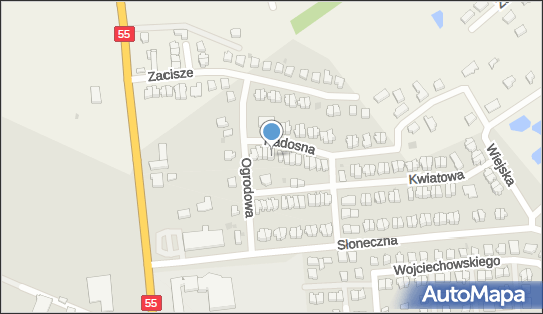 Antkowicz Andrzej Zbigniew Andor, Radosna 8, Sztum 82-400 - Przedsiębiorstwo, Firma, numer telefonu, NIP: 5791245053