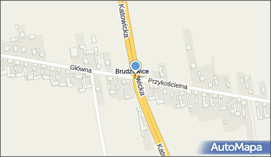 Antoni Derejczyk - Działalność Gospodarcza, Brudzowice 77 42-472 - Przedsiębiorstwo, Firma, NIP: 6491360359