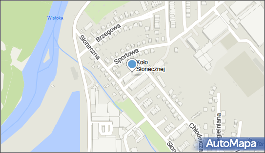Antoni Dzik Międzynarodowe Usługi Transportowe, Słoneczna 98 39-200 - Przedsiębiorstwo, Firma, NIP: 8721005517