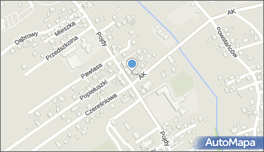 6421897367, Antoni Kapuściński 