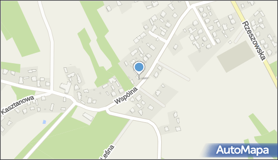 8672006007, Antoni Mazur 