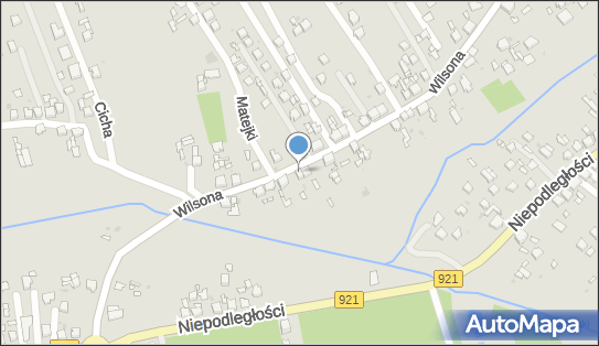 9691610087, Antratis sp. z o.o. 