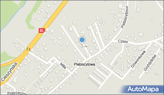 APC, Plebiscytowa 49j, Mikołów 43-190 - Przedsiębiorstwo, Firma