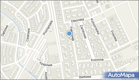 Apinet Jan Magnuszewski, ul. Pałacowa 6b, Dąbrówka 62-070 - Przedsiębiorstwo, Firma, NIP: 7772506080