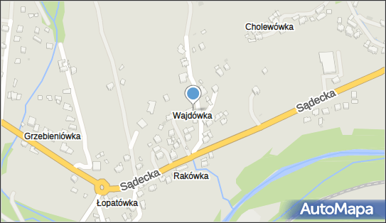 APIS, Sądecka 84A, Rabka-Zdrój 34-700 - Przedsiębiorstwo, Firma, NIP: 7351425616