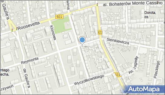APIS, ul. Władysława Reymonta 6, Zabrze 41-800 - Przedsiębiorstwo, Firma, numer telefonu, NIP: 6412266354
