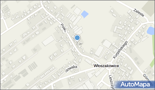 Apolinarski Paweł - Firma Handlowo - Usługowa, Włoszakowice 64-140 - Przedsiębiorstwo, Firma, NIP: 6971125807