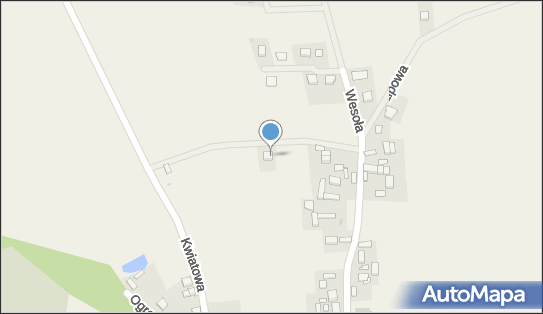 6922216088, Apolis Agnieszka Lis 