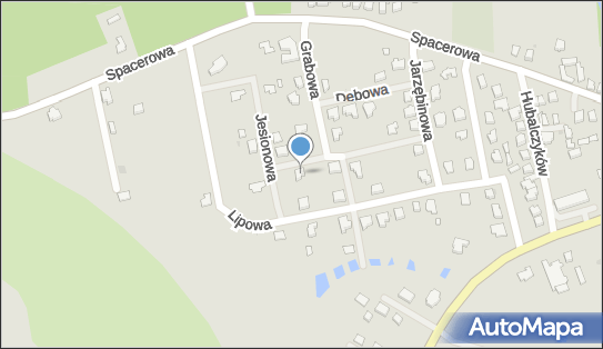 Applepie Marzena Warsztocka, Klonowa 13, Lubniewice 69-210 - Przedsiębiorstwo, Firma, NIP: 5831027576