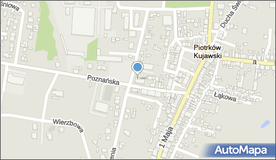 Apteka pod Magnolią Kis, Poznańska 18, Piotrków Kujawski 88-230 - Przedsiębiorstwo, Firma, numer telefonu, NIP: 8890004319