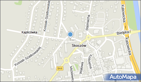 Arc Instrument, al. Jana Pawła II 1A, Skoczów 43-430 - Przedsiębiorstwo, Firma, NIP: 5532052000