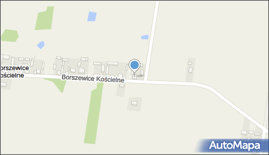 Arkadiusz Tomaszewski, Borszewice Kościelne 22 98-100 - Przedsiębiorstwo, Firma, NIP: 8311463166