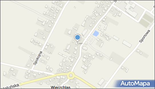 Armpol Agnieszka Gajda Nonckiewicz, Szkolna 13, Wierzchlas 98-324 - Przedsiębiorstwo, Firma, NIP: 8321797874