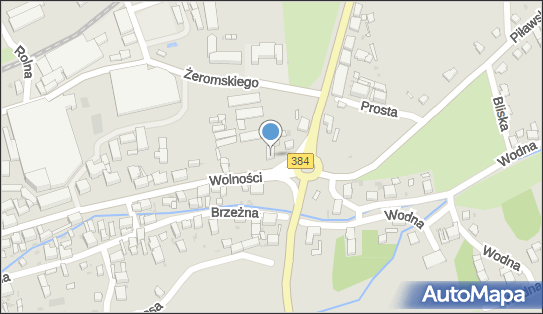 Art Biznes Tomasz Olszewski, Wolności 1, Bielawa 58-260 - Przedsiębiorstwo, Firma, NIP: 8822080549