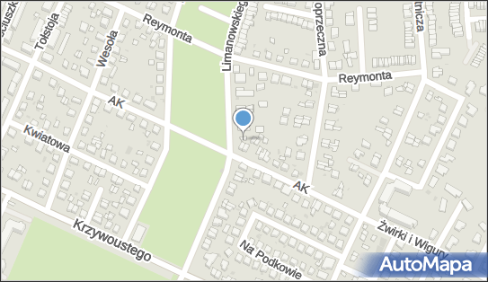 Art&ampBusiness Direction, ul. Bolesława Limanowskiego 14 56-400 - Przedsiębiorstwo, Firma, NIP: 9111573809