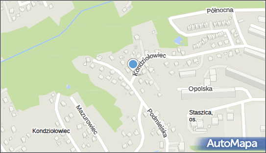 6331732295, ArtSkills Jacek Walczak 