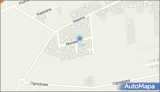 7822273578, Artur Lewandowski 