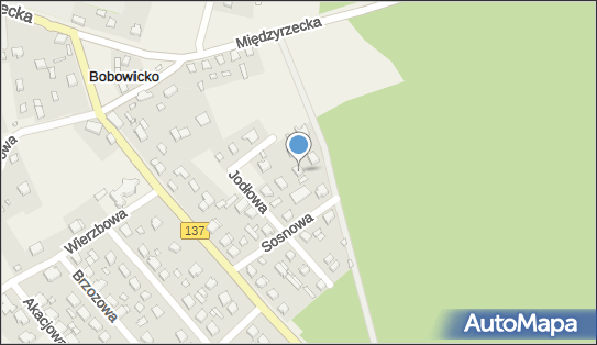 Artykuły Fryzjerskie i Kosmetyczne Aleksandra Gomuła, Jodłowa 6 66-300 - Przedsiębiorstwo, Firma, NIP: 5961562954