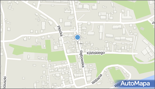Artykuły Ogólnospożywcze, Rębowska 29, Wyszogród 09-450 - Przedsiębiorstwo, Firma, NIP: 7741381720