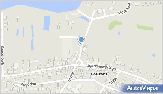 310157807, Artykuły Ogólnospożywcze Kozłowski Janusz 