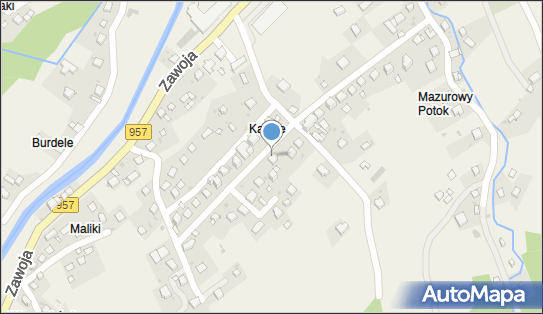 5521021941, Artykuły Spożywczo-Przemysłowe Jolanta Zięba 