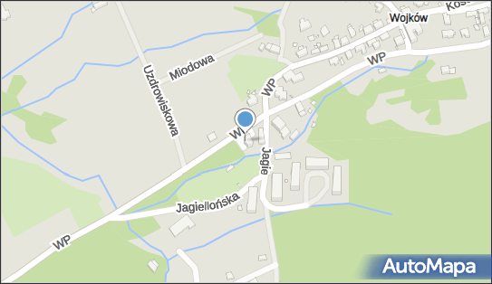 6112277721, Auto Spa - Paweł Tchórzewski 