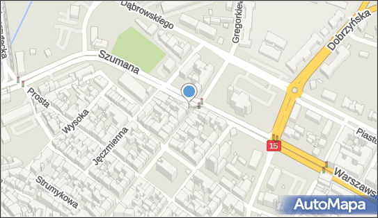 Asena Abadan Monika, pl. św. Katarzyny N/N, Toruń 87-100 - Przedsiębiorstwo, Firma, NIP: 9562047431