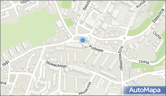 Asnet Skóra Adam i S Ka, pl. Władysława Reymonta 8, Złotoryja 59-500 - Przedsiębiorstwo, Firma, NIP: 6941451442