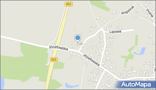 Athletic Pea Nauka Pływania - Fitness Paweł Bielec, Józefowska 48 37-610 - Przedsiębiorstwo, Firma, NIP: 7921959706